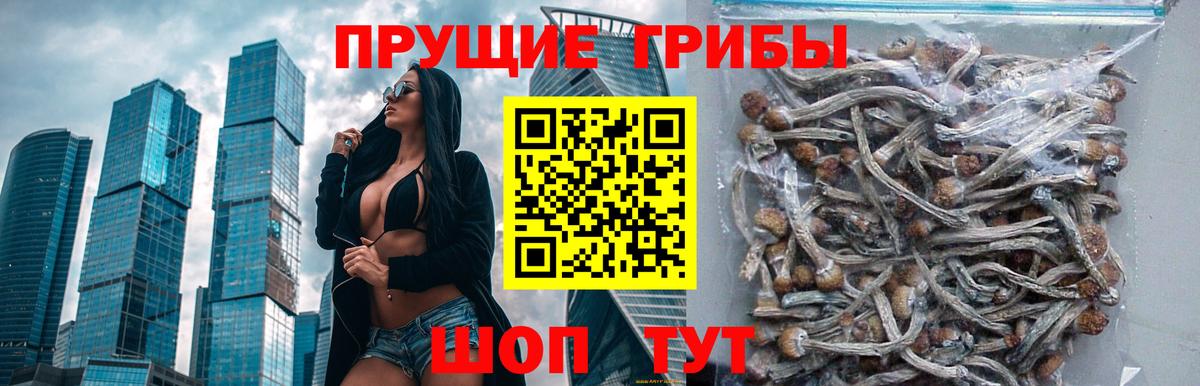 Галлюциногенные грибы мухоморы  Галлюциногенные грибы Magic Shrooms  Губаха  Вход с VPN 