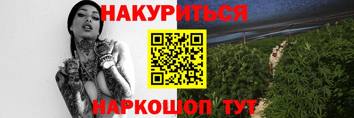Бошки Шишки планчик Губаха